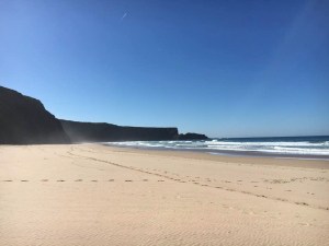 546d6c32-c3c7-4d4d-a3dd-148a9b1c16ef